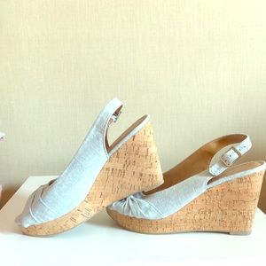 Light blue wedges